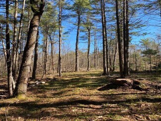 0 Sand Pond Rd Unit 4859862, Lempster, NH 03606