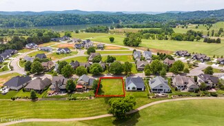 595 Bobcat Run Dr, Loudon, TN 37774