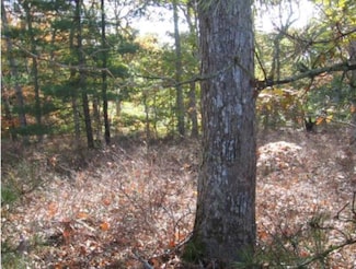 7 Franklin Ave, Tisbury, MA 02568