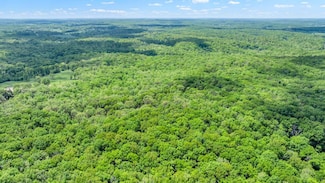 0000 Highway T, Steelville, MO 65565
