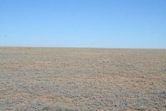 0 E Hwy 60 Tg-L14b11u12 Hwy, Bernardo, NM 87006