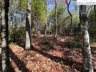 Lot 32 Thoreau Ct, West Jefferson, NC 28694