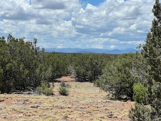 0 8309, Concho, AZ 85924