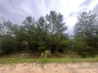 206 Wales St, Interlachen, FL 32148