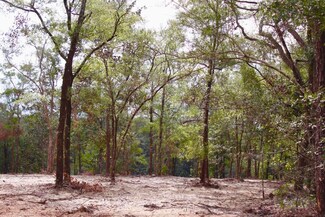1AC Lot E9 Wildwood Lakes Dr, Defuniak Springs, FL 32433
