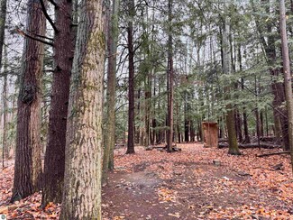 000 Westwood Rd NE, Mancelona, MI 49659