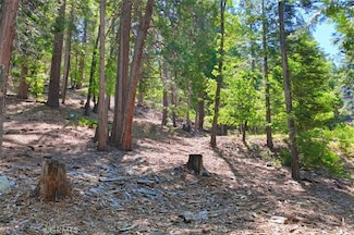 7220 Yosemite Park Way, Yosemite National Park, CA 95389