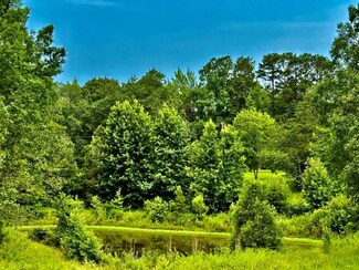 TBD Cr 102 (Old Town Rd), Pittsboro, MS 38951