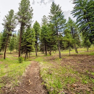 Lot 8 To Be Determined Unit 8, McCall, ID 83638