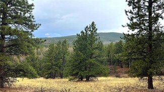002 Russell Gulch Rd, Central City, CO 80427