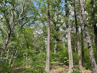 510 Skylark Rd, Washburn, MO 65772