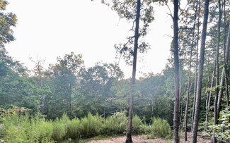 0 Old Highway 5 S Unit 319445, Ellijay, GA 30540