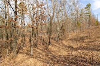 0 Trapp Rd Unit 25008039, North Little Rock, AR 72118