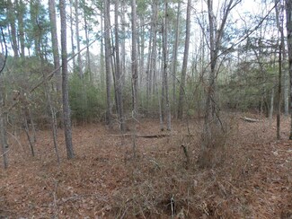 2 Highway 378, Lincolnton, GA 30817