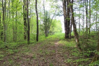 0 State Route 13 Unit S1275979, Albion, NY 13302