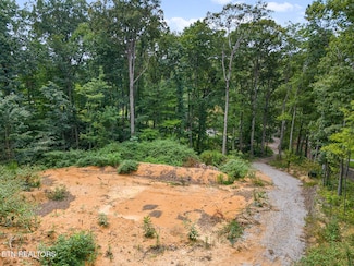 6310 Highway 11 E, Lenoir City, TN 37772