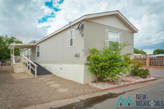 410 E 23rd #1 St, Roswell, NM 88201