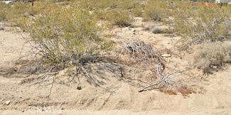 1 Alta Loma Dr, Twentynine Palms, CA 92277
