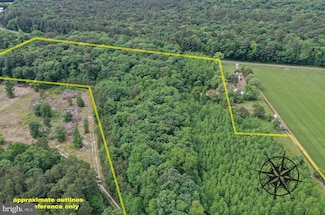 13.17 Acres Colona Rd, Pocomoke City, MD 21851