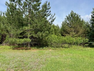 Tract C Pope Rd, Hawkinsville, GA 31036
