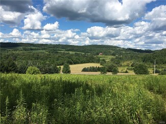 00 McGraw Marathon Rd, Freetown, NY 13101