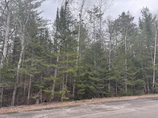 Lot 192 Sunaqua Dr, Presque Isle Township, MI 49777