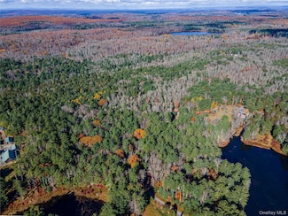 1 Philwold Rd, Forestburgh, NY 12777