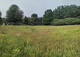 V/L Ohio St, Benona Township, MI 49455