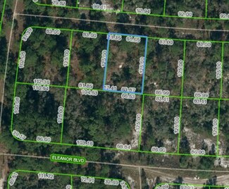 353 Paradise Ave, Lake Placid, FL 33852