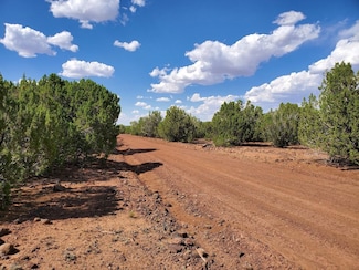 5 3036, Concho, AZ 85924