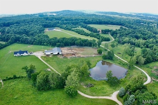 10219 Jolly Rd, Cadet, MO 63630