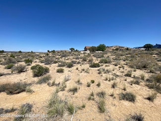 LOTS 26-27 69 Ac Road 34931, Farmington, NM 87401