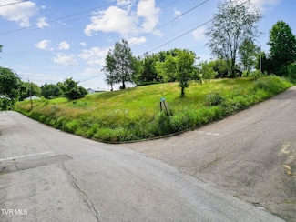 0 Leonard St, Greeneville, TN 37745
