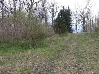 1707 State Route 5, Elbridge, NY 13060