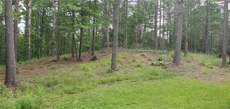 Lot 22 Vineyard Park, Sunset, SC 29685