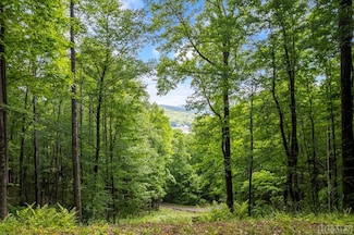 12A von Trapp Ln, Tuckasegee, NC 28783