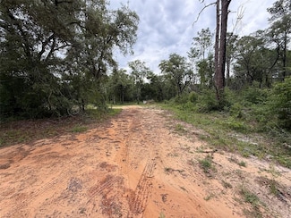 10155 SW 158th Ln, Dunnellon, FL 34432