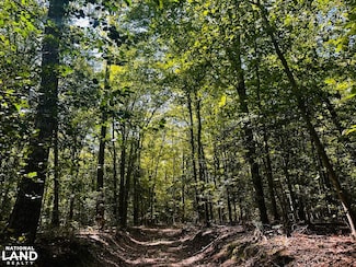 0-0 Pampa Rd, Gloucester, VA 23061