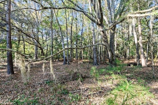 2515 Joseph Pearline Rd, Johns Island, SC 29455