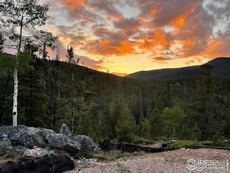 86 Natchez Cir, Red Feather Lakes, CO 80545