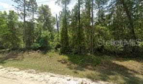 210 Hideaway Ln, Georgetown, FL 32139
