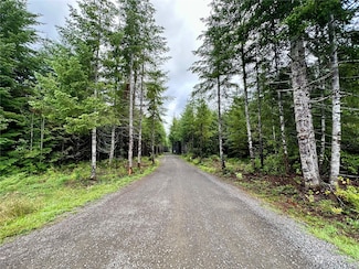9999 Grouse Glen Way, Forks, WA 98363