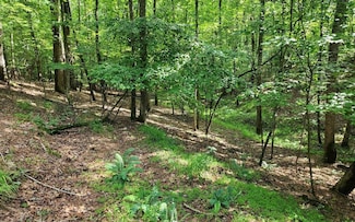 0 Oneida Cir Unit 412896, Ellijay, GA 30540