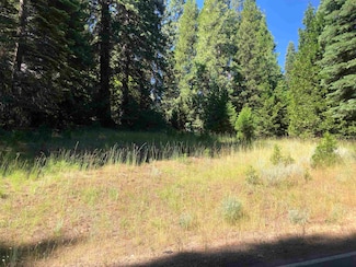 1222 Lynx Rd, Lake Almanor Country Club, CA 96137