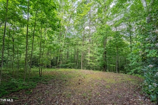 1501 Sprucy Ridge, Mountain City, TN 37683