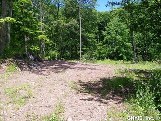 Lot #12 Hayes Rd, Florence, NY 13316