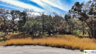 201 Post Oak Rd, Inez, TX 77968