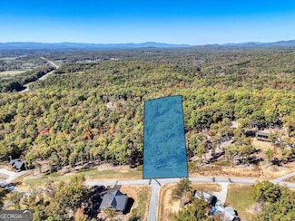 90 Split Creek Rd, Morganton, GA 30560