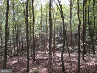 0 River Rd Unit 1009155770, Fisher, WV 26818