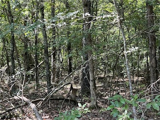 MMM Meadow Creek Dr, Harrison, AR 72601